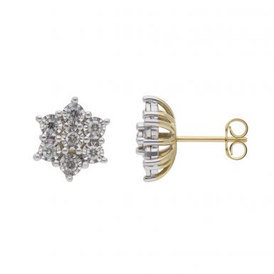 New 9ct Yellow & White Gold 0.50ct Diamond Cluster Stud Earrings